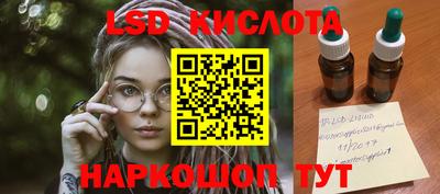 индика Кингисепп