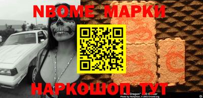 индика Кингисепп