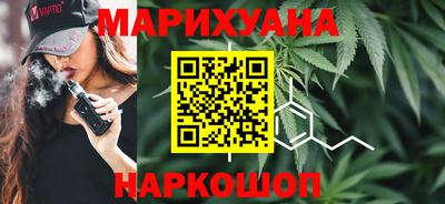 индика Кингисепп