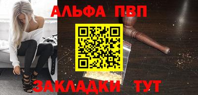 индика Кингисепп