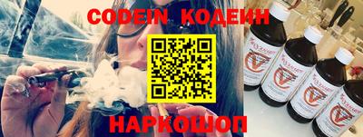 индика Кингисепп